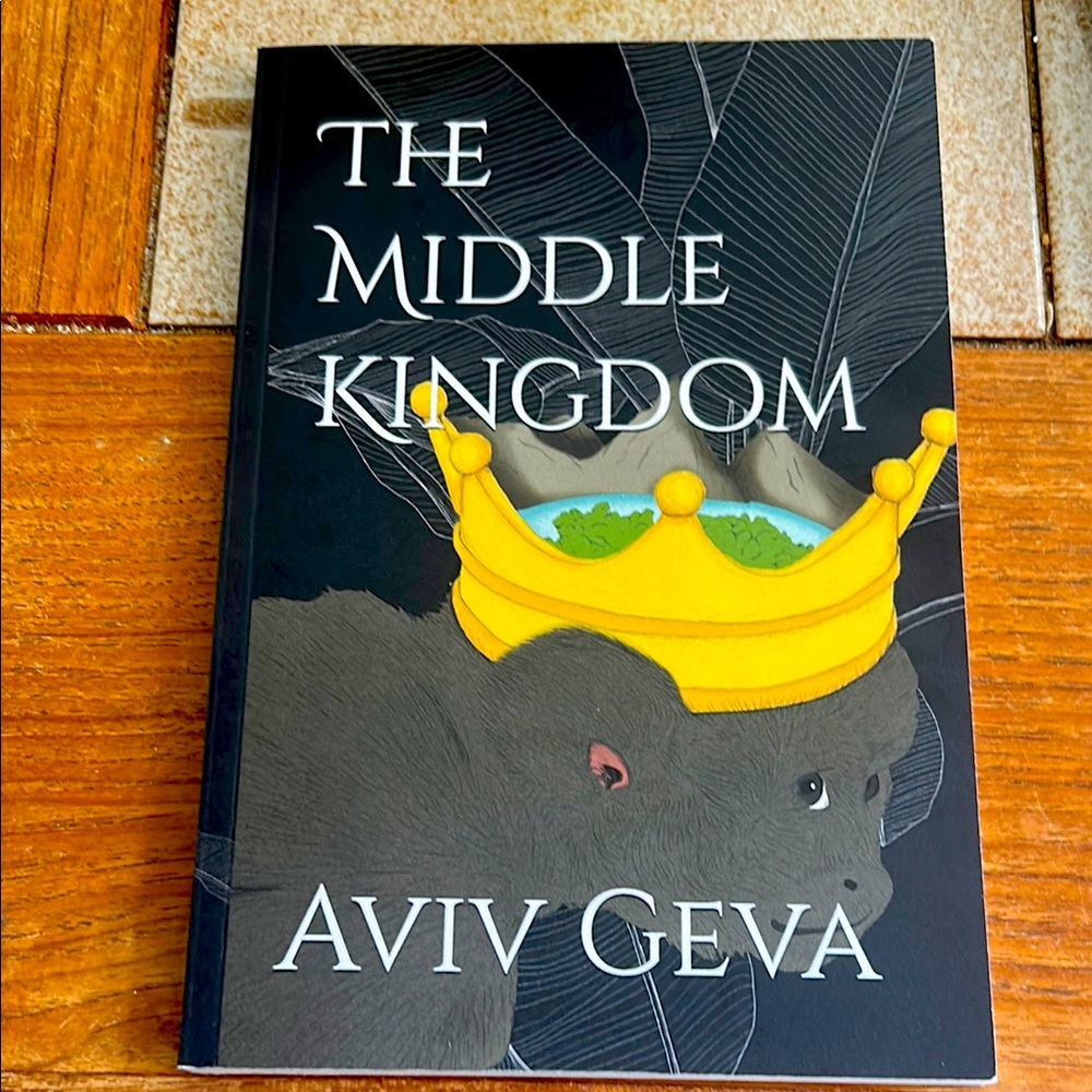 BRAND NEW, Fantasy Book with Black and White Cover
Not for children